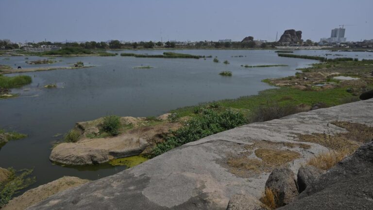 Lokayukta pulls up Ramanagara officials over lake pollution, seeks compliance report